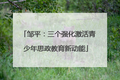 邹平：三个强化激活青少年思政教育新动能