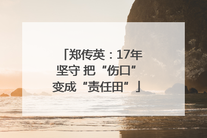 郑传英：17年坚守 把“伤口”变成“责任田”