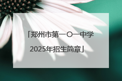郑州市第一〇一中学2025年招生简章