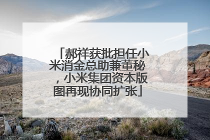 郝祥获批担任小米消金总助兼董秘，小米集团资本版图再现协同扩张