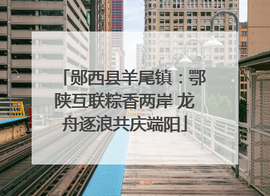 郧西县羊尾镇：鄂陕互联粽香两岸 龙舟逐浪共庆端阳
