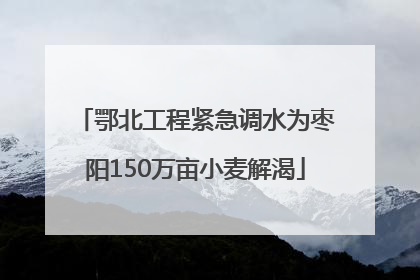 鄂北工程紧急调水为枣阳150万亩小麦解渴