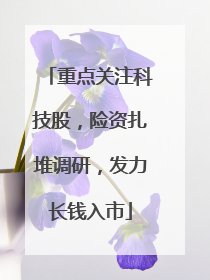 重点关注科技股，险资扎堆调研，发力长钱入市