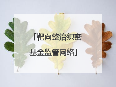 靶向整治织密基金监管网络