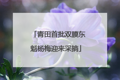 青田首批双膜东魁杨梅迎来采摘