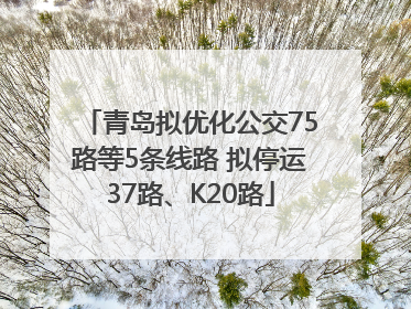 青岛拟优化公交75路等5条线路 拟停运37路、K20路
