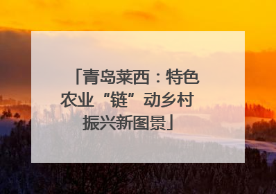 青岛莱西：特色农业“链”动乡村振兴新图景