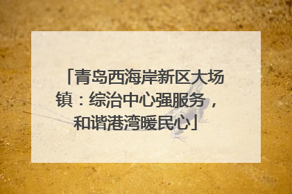 青岛西海岸新区大场镇：综治中心强服务，和谐港湾暖民心