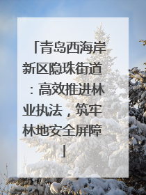 青岛西海岸新区隐珠街道：高效推进林业执法，筑牢林地安全屏障