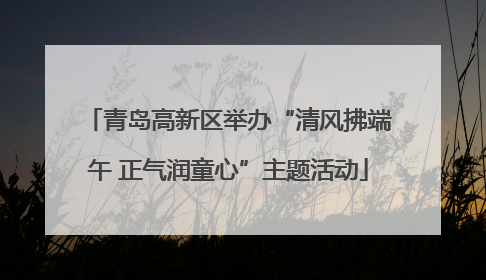 青岛高新区举办“清风拂端午 正气润童心”主题活动