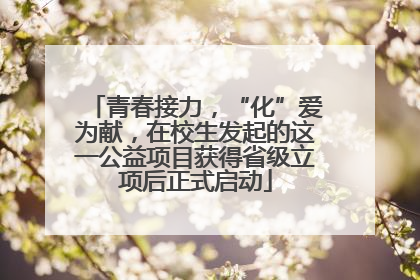 青春接力，“化”爱为献，在校生发起的这一公益项目获得省级立项后正式启动