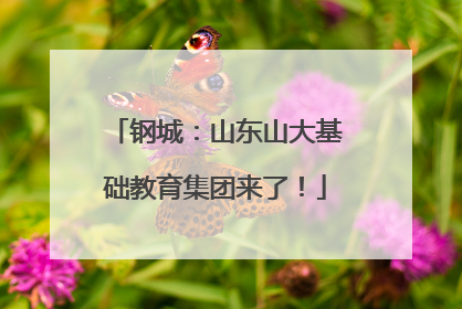 钢城：山东山大基础教育集团来了！