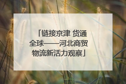 链接京津 货通全球——河北商贸物流新活力观察