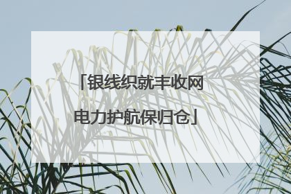 银线织就丰收网 电力护航保归仓