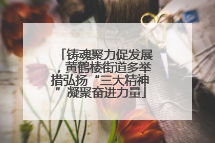 铸魂聚力促发展，黄鹤楼街道多举措弘扬“三大精神”凝聚奋进力量