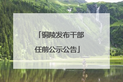 铜陵发布干部任前公示公告