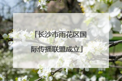 长沙市雨花区国际传播联盟成立