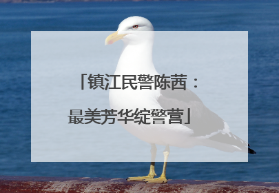 镇江民警陈茜：最美芳华绽警营