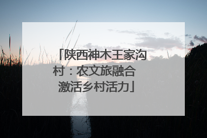 陕西神木王家沟村：农文旅融合 激活乡村活力