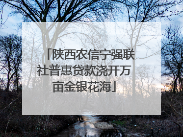 陕西农信宁强联社普惠贷款浇开万亩金银花海