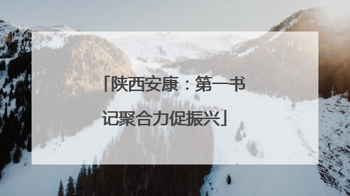 陕西安康：第一书记聚合力促振兴