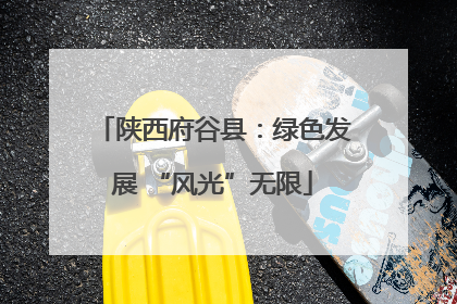 陕西府谷县：绿色发展 “风光”无限