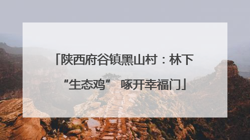 陕西府谷镇黑山村：林下“生态鸡” 啄开幸福门