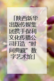 陕西新华出版传媒集团携手保利文化传播公司打造“时间典藏”数字艺术馆