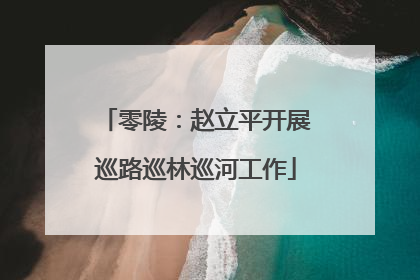 零陵：赵立平开展巡路巡林巡河工作