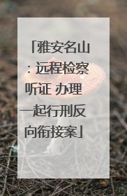 雅安名山：远程检察听证 办理一起行刑反向衔接案