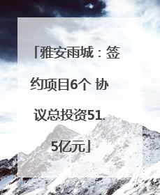 雅安雨城：签约项目6个 协议总投资51.5亿元