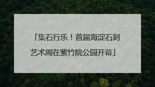 集石行乐！首届海淀石刻艺术周在紫竹院公园开幕