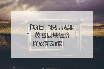 项目“积厚成器” 茂名县域经济释放新动能