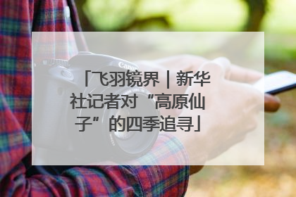 飞羽镜界｜新华社记者对“高原仙子”的四季追寻