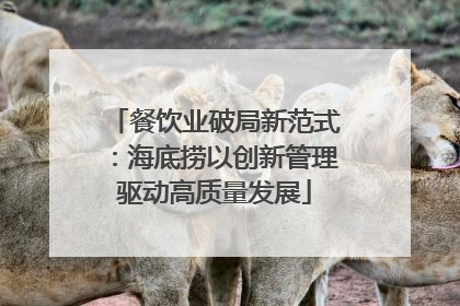 餐饮业破局新范式：海底捞以创新管理驱动高质量发展