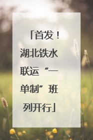 首发！湖北铁水联运“一单制”班列开行