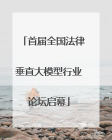 首届全国法律垂直大模型行业论坛启幕