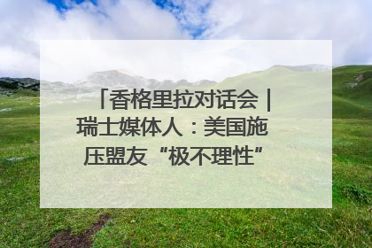 香格里拉对话会｜瑞士媒体人：美国施压盟友“极不理性” 欧洲国家无意与中国“脱钩断链”