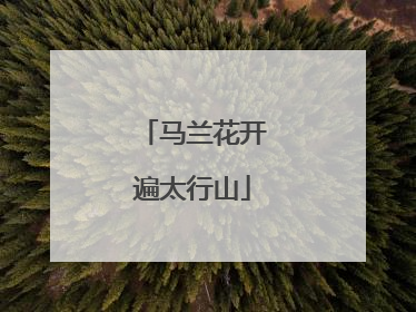 马兰花开遍太行山
