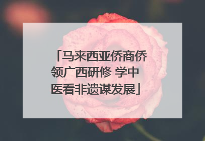 马来西亚侨商侨领广西研修 学中医看非遗谋发展