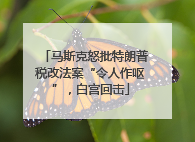 马斯克怒批特朗普税改法案“令人作呕”，白宫回击