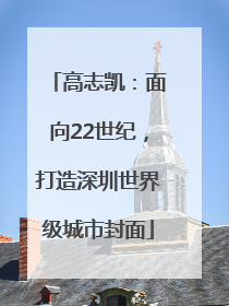 高志凯：面向22世纪，打造深圳世界级城市封面