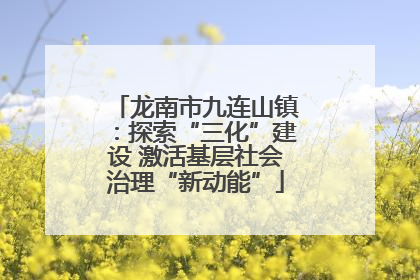龙南市九连山镇：探索“三化”建设 激活基层社会治理“新动能”