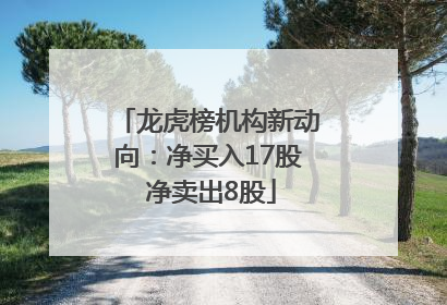 龙虎榜机构新动向：净买入17股 净卖出8股