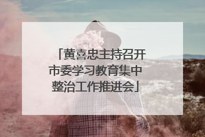 黄喜忠主持召开市委学习教育集中整治工作推进会