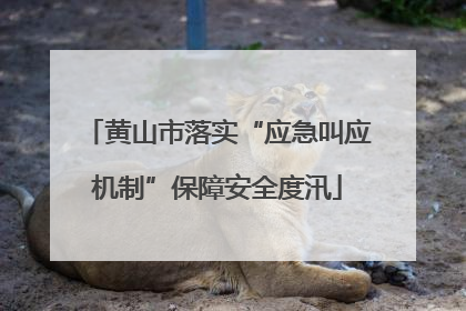 黄山市落实“应急叫应机制”保障安全度汛