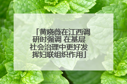 黄晓薇在江西调研时强调 在基层社会治理中更好发挥妇联组织作用