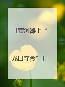 黄河滩上“龙口夺食”