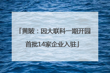 黄陂：因大联科一期开园 首批14家企业入驻