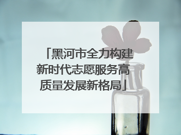 黑河市全力构建新时代志愿服务高质量发展新格局